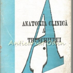 Anatomia Clinica A Trunchiului - Constantin Fatu, Doina Lucia Frincu