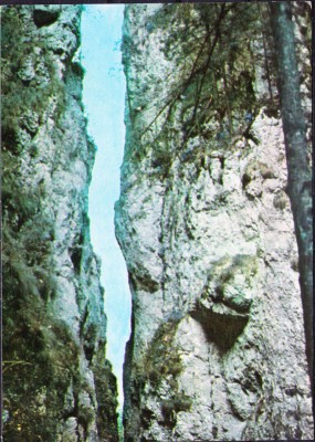 AMS - ILUSTRATA 674 CHEILE DIMBOVITEI, NECIRCULATA foto