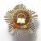 t852 MEDALIA INSIGNA FRUNTAS IN INTRECERE 1977