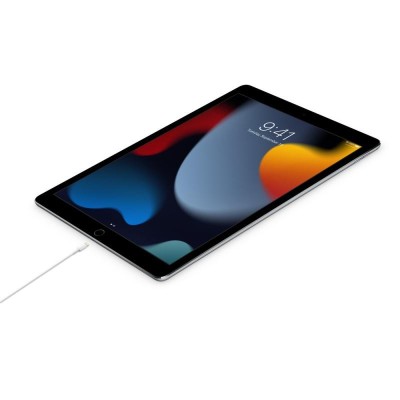 USB-C TO LIGHTNING CABLE (1 M)-ZML foto