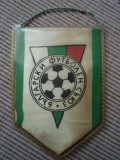 Fanion fotbal federatia bulgara de fotbal bulgaria Български футболен съюз 1923