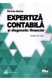 Expertiza contabila si diagnostic financiar - Nicolae Baltes