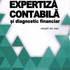 Expertiza contabila si diagnostic financiar - Nicolae Baltes