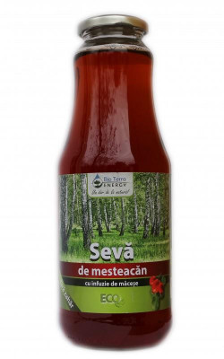 Seva de Mesteacan Bio cu Infuzie de Macese Dietetic Bio Terra Energy 1L foto