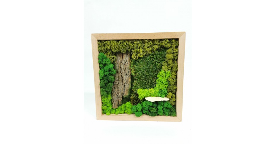 5.Tablou de lemn 30x30cm cu licheni stabilizati ?i mu?chi stabilizati ...