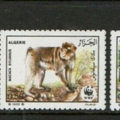 ALGERIA 1988 WWF FAUNA PROTEJATA MAIMUTE
