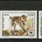ALGERIA 1988 WWF FAUNA PROTEJATA MAIMUTE