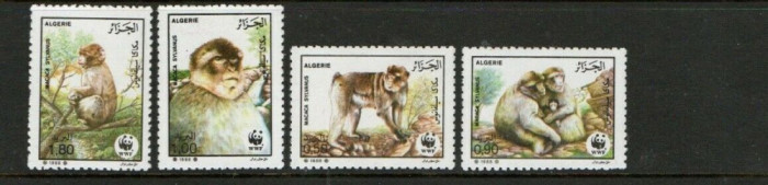 ALGERIA 1988 WWF FAUNA PROTEJATA MAIMUTE