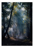 Tablou Canvas, "Raze de lumină &icirc;n pădurea tainică", Mister, Lumină, Pădure, Umbre, Frunziș, Tainic, Copaci, Raze, Pitoresc, Seren., 26 x 39 cm, CMCLAS