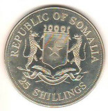 SV * Somalia 25 SHILLINGS 2000 * PAPA PAUL IOAN II * ICOANELE MILENIULUI, Africa, Nichel