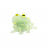 Clips unisex Crocs Chameleon TM-Toad FW09-016UV