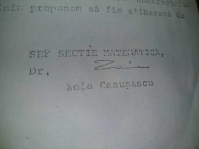 Document XEROX vechi RAR,1982-Sef Sectie Matematica INCREST -ZOE CEAUSESCU RSR foto