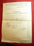 Autorizatie de Libera Practica a Medicinei in Municipiul Bucuresti 1945