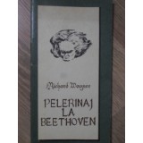 PELERINAJ LA BEETHOVEN-RICHARD WAGNER-98994