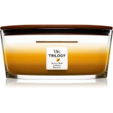 Woodwick Trilogy Caf&eacute; Sweets lum&acirc;nare parfumată cu fitil din lemn (hearthwick) 453.6 g