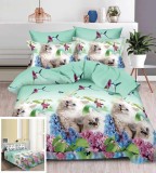 Cumpara ieftin Lenjerie Pat 3D Dragon Bumbac 4 Piese (200x230) Fara Elastic | Set Cearsaf Pilota + 2 Fete Perna 55x75, 70x70 cm