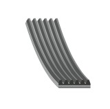 Febi Bilstein Curea transmisie cu caneluri