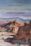 Inghetata lui Adrian &ndash; Brandusa Vranceanu