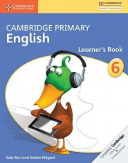 Cambridge Primary Stage 6 Learner&amp;#039;s Book foto