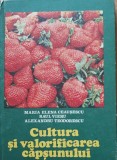 CULTURA ȘI VALORIFICAREA CAPSUNULUI - MARIA ELENA CEAUȘESCU (ED. CERES, 1982)