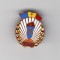 Insigna UCFS