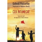 Cer &icirc;ntunecat. Fuga unui copil din Afganistan &icirc;n Marea Britanie - Paperback brosat - Gulwali Passarlay, Nadene Ghouri - Polirom