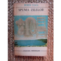 SPUMA ZILELOR - BORIS VIAN