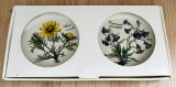 Set farfurii - Villeroy and Boch - Botanica - cutie originala
