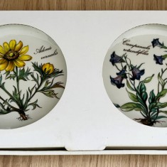 Set farfurii - Villeroy and Boch - Botanica - cutie originala