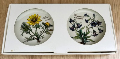 Set farfurii - Villeroy and Boch - Botanica - cutie originala foto