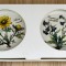 Set farfurii - Villeroy and Boch - Botanica - cutie originala