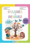 Caiet de activitati Colorez si desenez Grupa mare Autori: Cuc, Dezso, Ionescu, Sim, Mitiu, Perta - Carti pentru copii