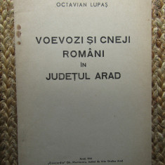 Voevozi si cneji romani in judetul Arad – Octavian Lupas