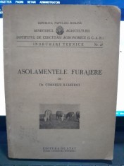 Asolamentele furajere - Corneliu Ilchievici foto