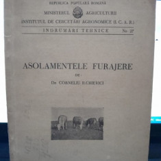 Asolamentele furajere - Corneliu Ilchievici