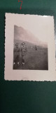 M5 C33 - FOTO - FOTOGRAFIE FOARTE VECHE - militari la munte - anul 1943