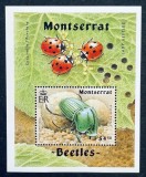 Montserrat 1994 - Insecte, colita neuzata