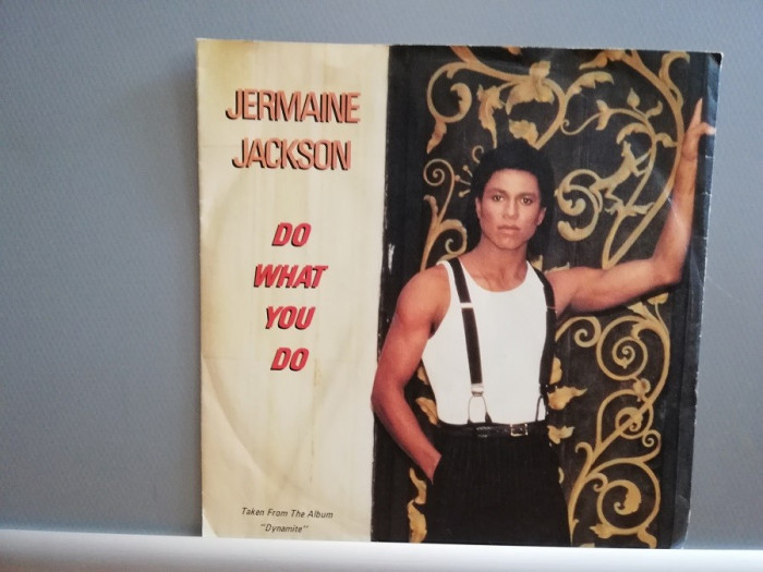Jermaine Jackson /M.Jackson &ndash; Do What You..(1984/Arista/RFG)- VINIL/&quot;7 Single/NM
