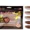 Shad Quantum 10cm Q-Paddler Power Packs Clear Water Mix 3x wakasagi 2x brown shiner 5 buc/plic