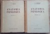 A. I. Abricosov - Anatomia patologica, partea I si a II-a (1955, ed. cartonata)