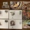 Jersey - serie 4 timbre MNH, 4 FDC, 4 maxime, fauna wwf