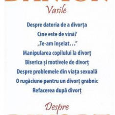 Despre divort - Danion Vasile