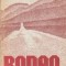 Rodeo (roman)