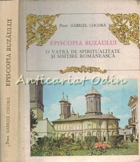 Episcopia Buzaului - Gabriel Cocora foto