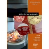 Atlas de bacteriologie - Adrian Man, Anca Delia Mare, Felicia Toma