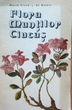 Flora muntilor Ciucas Al. Beldie Maria Ciuca