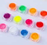 Set pigment neon 12 nuante