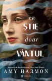 Ce stie doar vantul, Bookzone