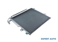 Radiator clima Mercedes G-Class (1989-&amp;gt;) [W461] #1 foto