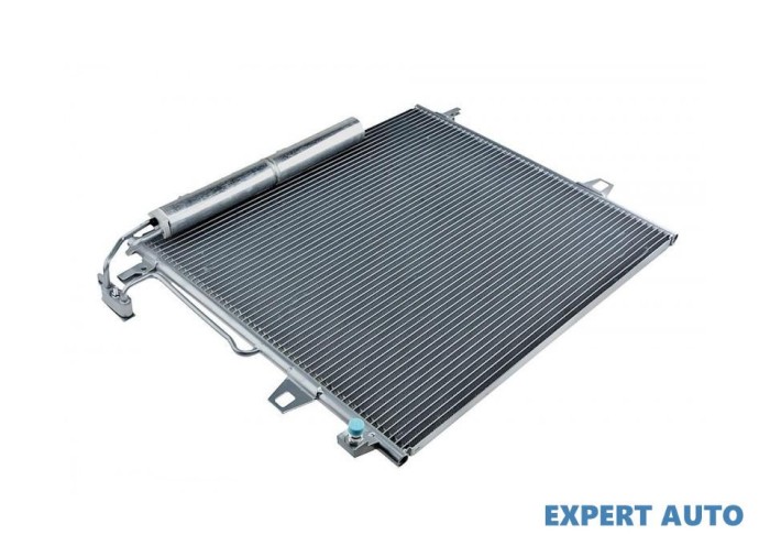 Radiator clima Mercedes R-Class (2005-&gt;) [W251 , V251] #1